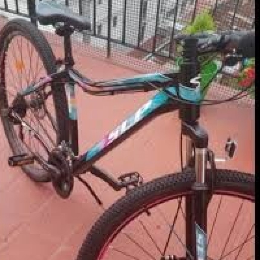 Detenido tras robar una bicicleta en Santa Lucía