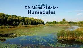 Día Mundial de los Humedales: por qué se celebra el 2 de febrero