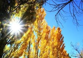 Baja la temperatura y se espera cielo mayormente nublado