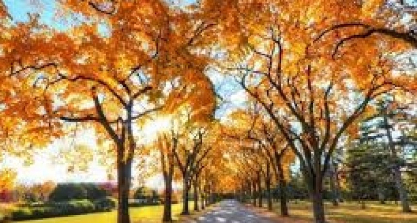 Martes otoñal ideal: sol, brisa suave y máxima de 22°C