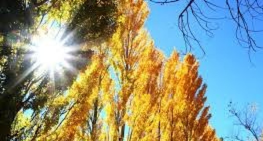 Baja la temperatura y se espera cielo mayormente nublado