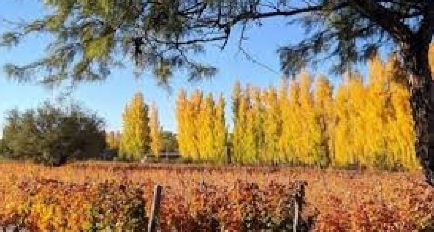 Así estará el clima este lunes 20 de mayo en San Juan