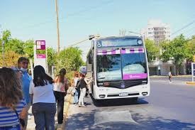 Red Tulum: ¿los choferes se someten a algún test psicológico para conducir?