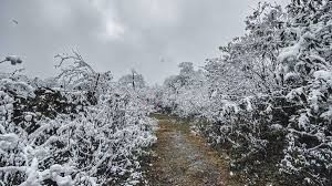 San Juan recibe junio con 3 °C de mínima y una jornada otoñal sin lluvias