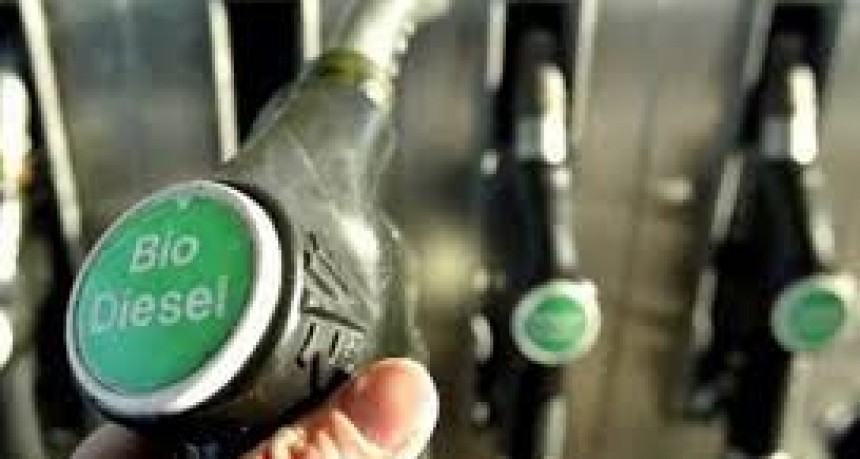 ¡Alerta! Biodiésel sube un 2 % en junio y llega a $1.276.874 la tonelada