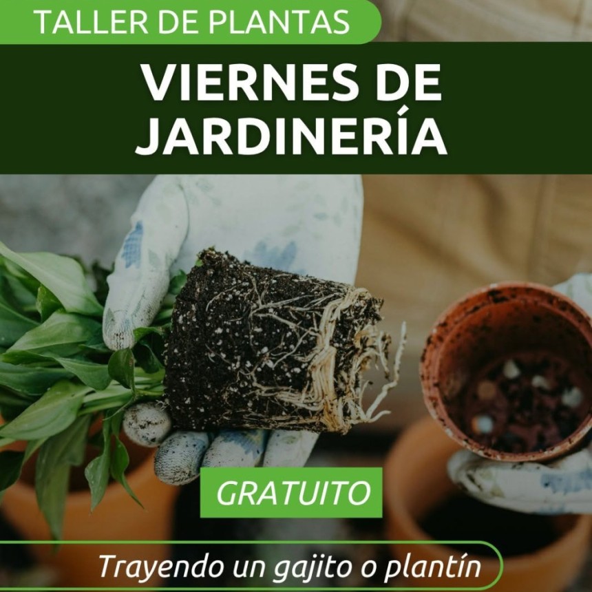 Inscripciones abiertas en Chimbas: dictar&aacute;n un taller gratuito de jardiner&iacute;a y plantas en El Mogote