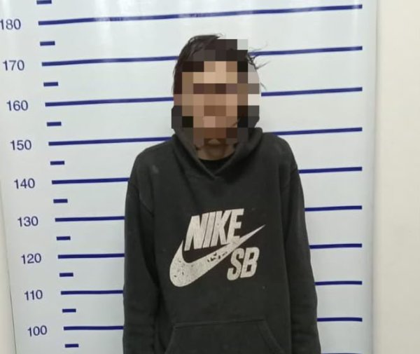 Aprehenden a un joven tras intentar robar en una vivienda de Albard&oacute;n