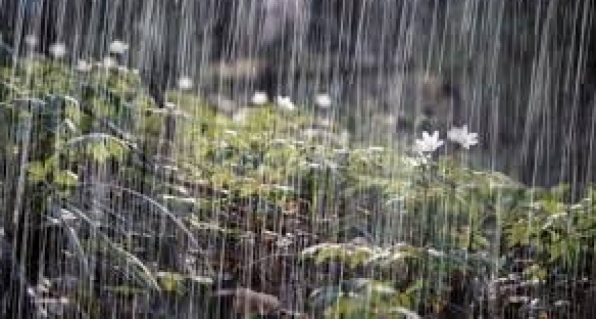 Miércoles 21 de agosto con viento  lluvias aisladas en San Juan