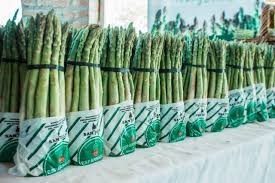 Rawson celebra su aniversario con una jornada especial dedicada al espárrago