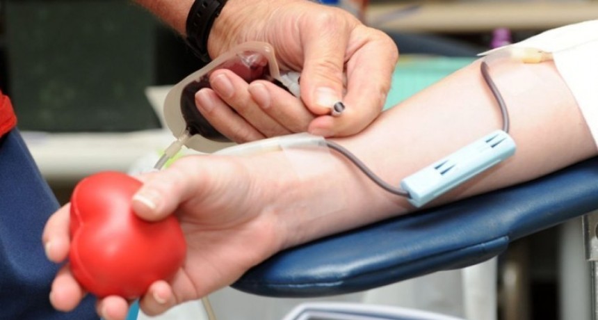 Salud informa el cronograma de colectas de sangre del IPHEM de octubre