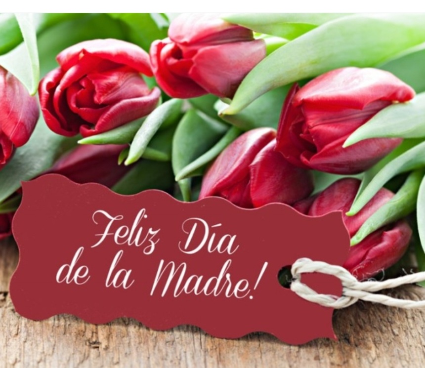 Hoy 15 de octubre se festeja el día de la madre en todo el país 