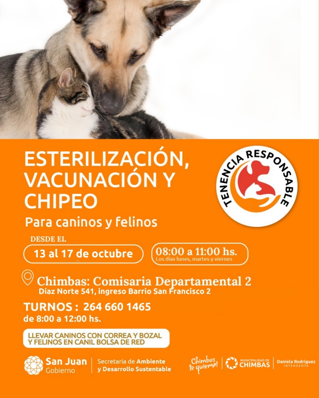 Operativo de Esterilización, Vacunación y Chipeo Gratis en Chimbas: Días, Turnos y Lugar