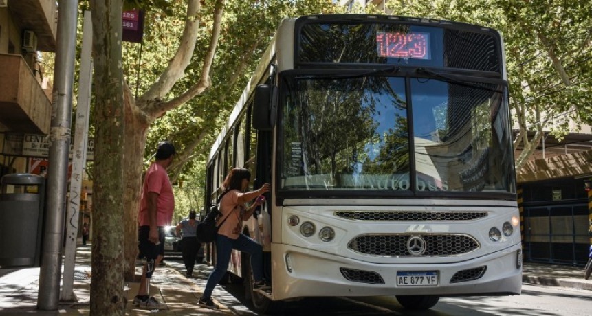 RedTulum informó que se extiende el plazo de validez de los pases de discapacidad