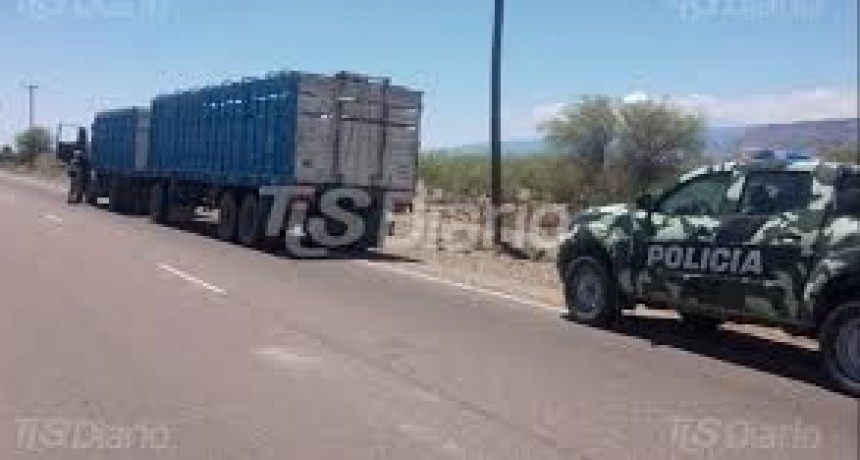 San Martín: Atrapan a un camionero con 4 animales faenados