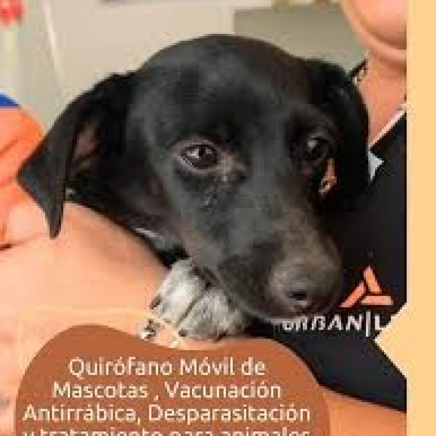 QUIRÓFANO MÓVIL Y VACUNACIÓN ANTIRRÁBICA DE MASCOTAS