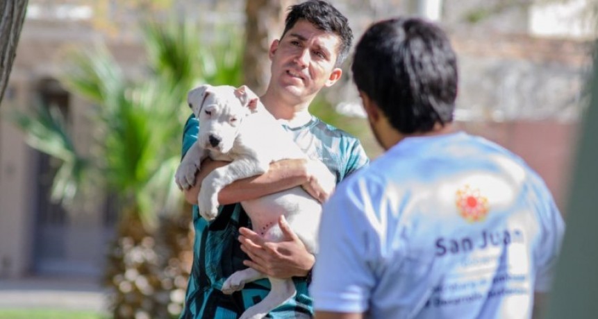 El quirófano móvil sigue recorriendo San Juan con esterilización gratuita
